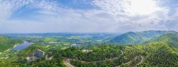 森林舞会压分技巧图-森林舞会中的压分技巧探索